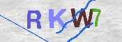 Güvenlik Kodunun Resmi
